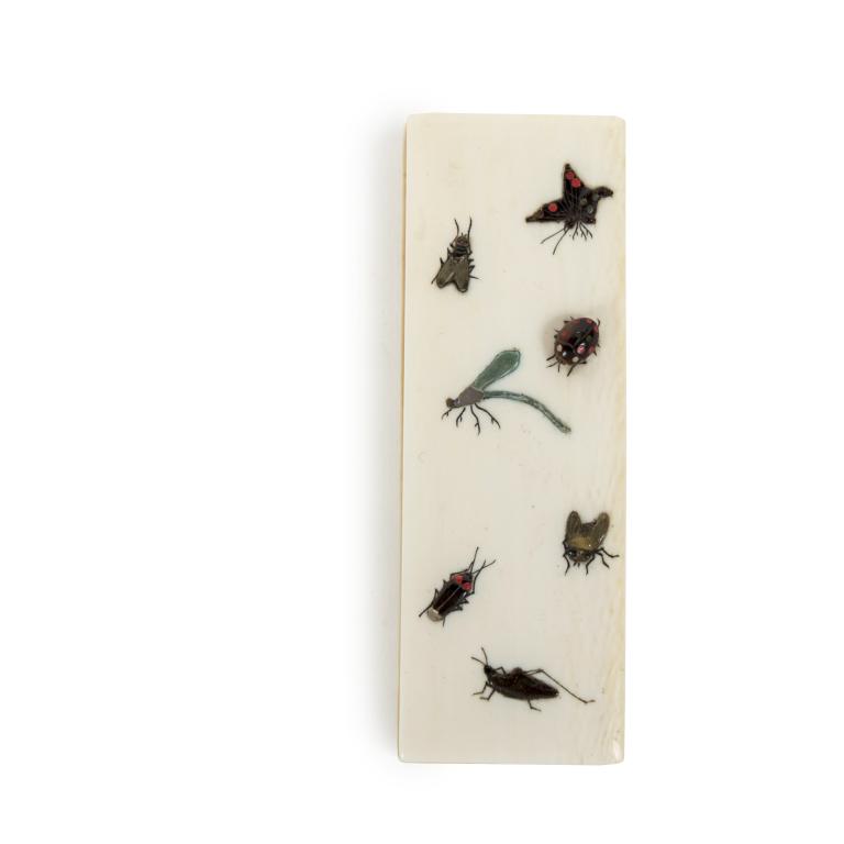 Galerie tiago Japanese Shibayama box with insects