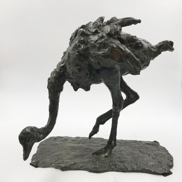 Ostrich by Ennio Pettenello